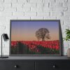 93855-587.jpg Tulips Field Framed Poster