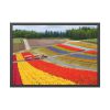 93855-596.jpg Colorful Tulip Field Framed Poster