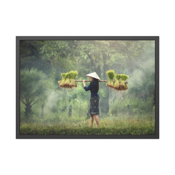 93855-664.jpg Rice Harvest Framed Poster