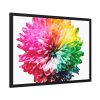 93855-673.jpg Multicolored Flower Illustration Framed Poster