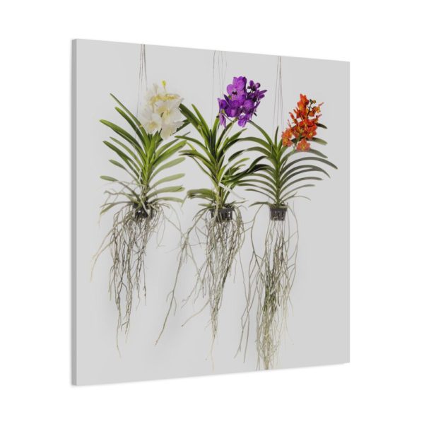 101419-28.jpg Three Orchids Standard Canvas