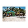 101826-9.jpg Tropical Dominican Republic Poster