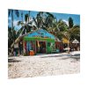 101829-11.jpg Tropical Dominican Republic Poster