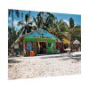 101830-11.jpg Tropical Dominican Republic Poster