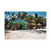 101834-9.jpg Tropical Dominican Republic Poster