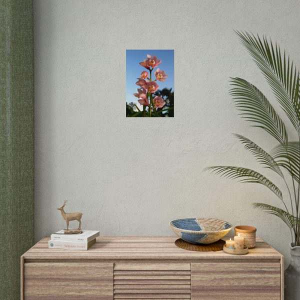 Pink Orchid Flowers Poster