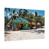101846-11.jpg Tropical Dominican Republic Poster