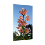 Pink Orchid Flowers Poster - Image 218