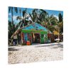 101853-11.jpg Tropical Dominican Republic Poster