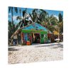 101854-11.jpg Tropical Dominican Republic Poster