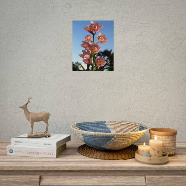 Pink Orchid Flowers Poster