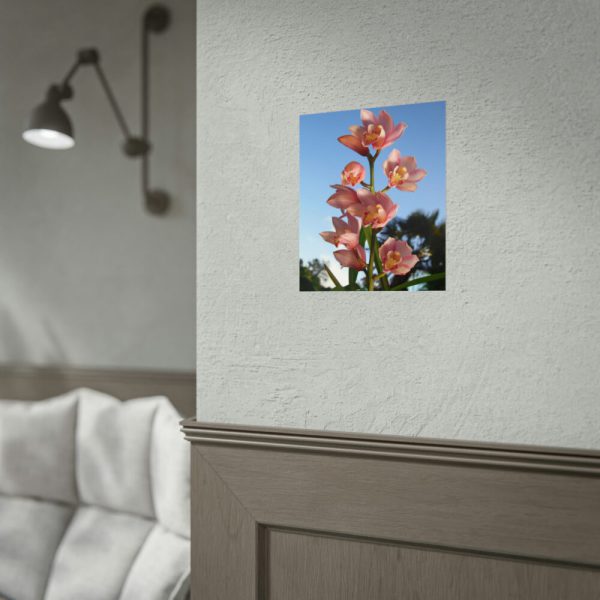 Pink Orchid Flowers Poster