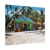 101859-11.jpg Tropical Dominican Republic Poster