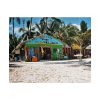101859-9.jpg Tropical Dominican Republic Poster