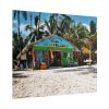 101860-11.jpg Tropical Dominican Republic Poster