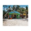 101860-9.jpg Tropical Dominican Republic Poster