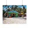 101861-10.jpg Tropical Dominican Republic Poster