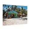 101865-11.jpg Tropical Dominican Republic Poster