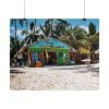 101866-10.jpg Tropical Dominican Republic Poster