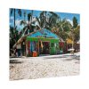 101866-11.jpg Tropical Dominican Republic Poster