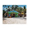 101866-9.jpg Tropical Dominican Republic Poster