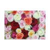101875-108.jpg Colorful Roses Poster