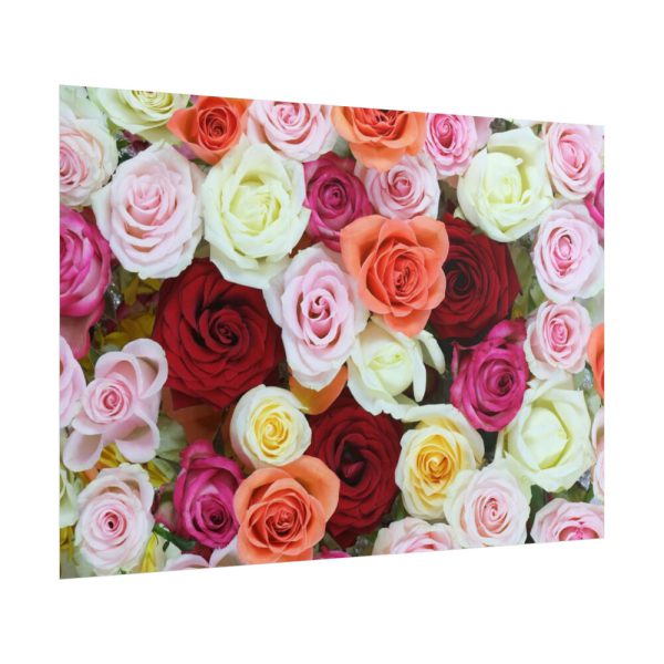 101875-110.jpg Colorful Roses Poster
