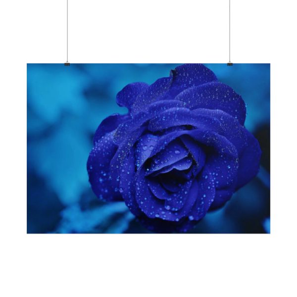101875-113.jpg Blue Roses Poster