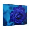 101875-114.jpg Blue Roses Poster