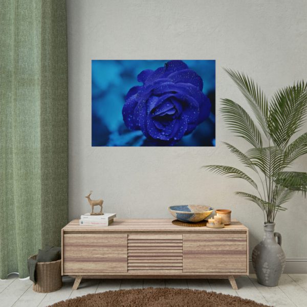 101875-115.jpg Blue Roses Poster