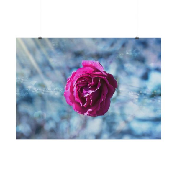 101875-121.jpg Garden Roses Poster