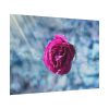 101875-122.jpg Garden Roses Poster