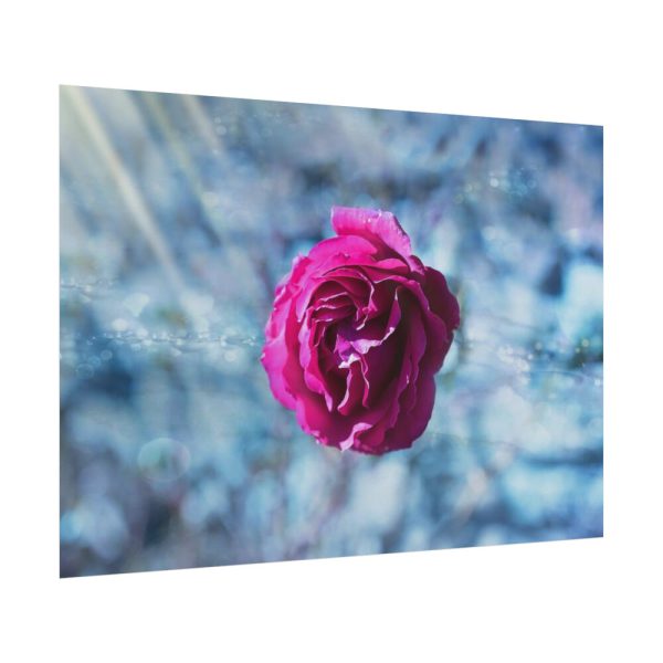 101875-122.jpg Garden Roses Poster