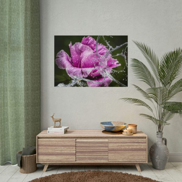 101875-127.jpg Rose Family Poster