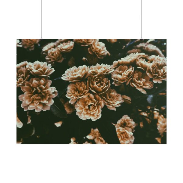 101875-137.jpg Brown Aesthetic Poster