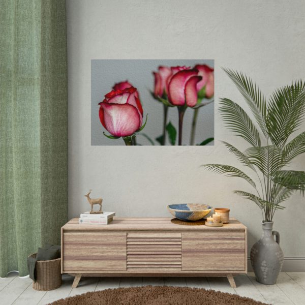 101875-143.jpg Red Oil Rose Poster