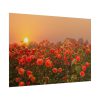 Barn in Smokey Orange Sky Poster