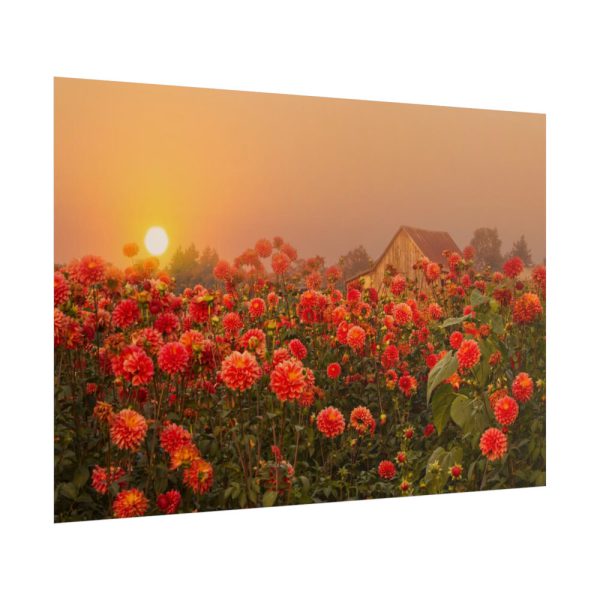 Barn in Smokey Orange Sky Poster