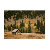 101875-156.jpg Woden Barn in Forest Poster
