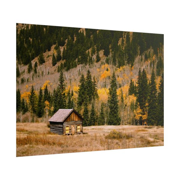 101875-158.jpg Woden Barn in Forest Poster
