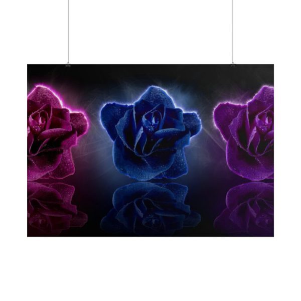 101875-161.jpg Rose Flower Blossom Poster