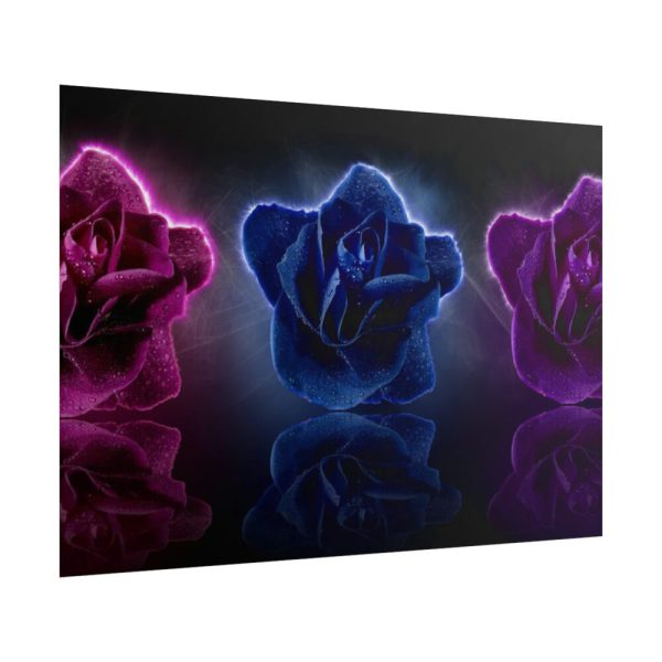 101875-162.jpg Rose Flower Blossom Poster
