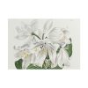 White Cape Coast Lily by Sydenham Edwards Poster