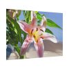 101875-174.jpg Pink Lily Poster