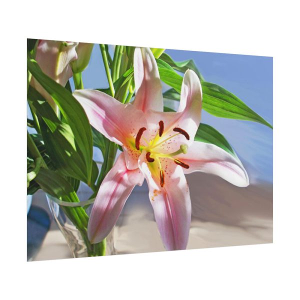 101875-174.jpg Pink Lily Poster