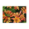 Orange Lily Poster