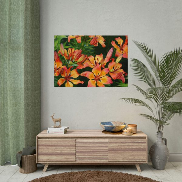 Orange Lily Poster