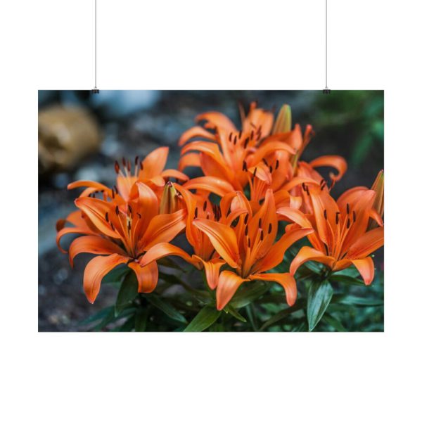 Orange Flower Poster