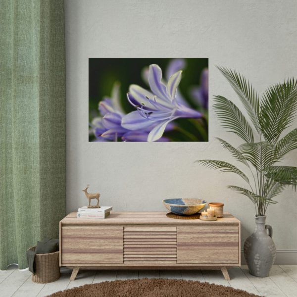 Purple White Glowing Lily Poster