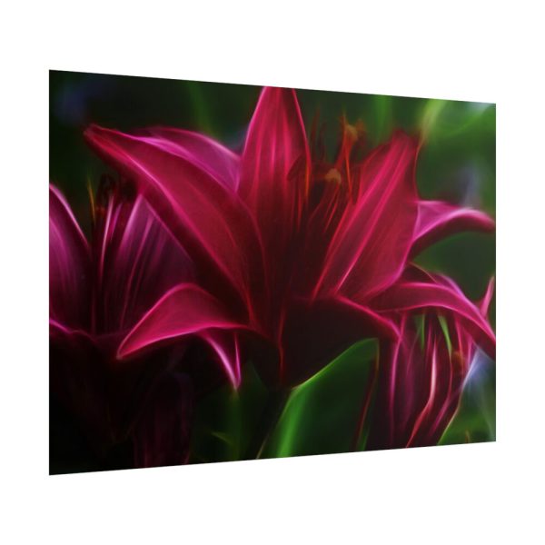 Pink Bloom Lily Poster